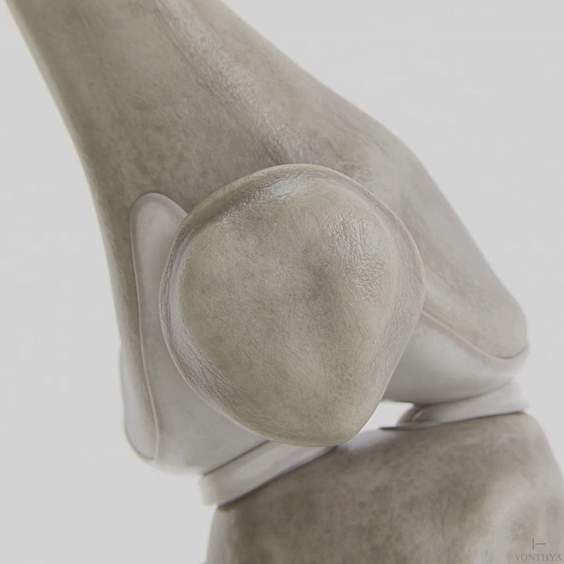 VO25 six-node system animation showing knee area coverage